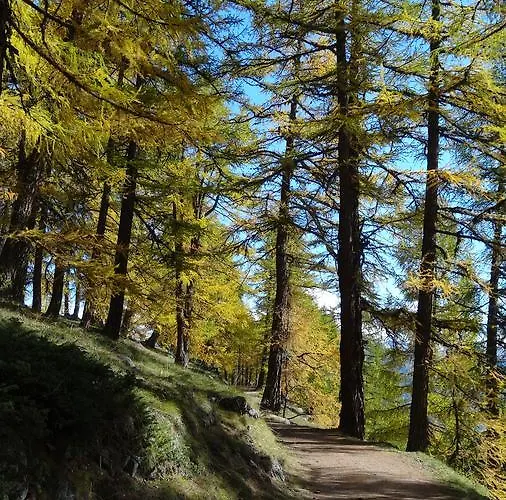 Dağ evi Barbara Grächen