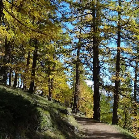 샬레 Barbara 그라켄